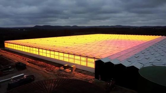 Boogdak Champignonverbouwing Zonnelicht Kaspakket Bruto gewicht 1000.000kg