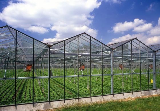 Boogdak Champignonverbouwing Zonnelicht Kaspakket Bruto gewicht 1000.000kg
