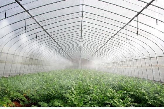 Boogdak Champignonverbouwing Zonnelicht Kaspakket Bruto gewicht 1000.000kg