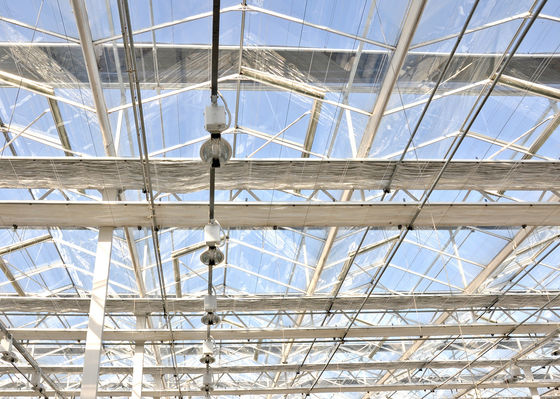 Op maat gemaakte aanvraag Double Arch Beam Greenhouse voor Tomato Farming in US Currency