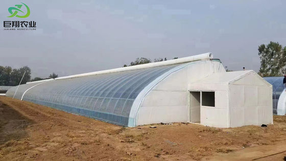 Op maat gemaakte aanvraag Double Arch Beam Greenhouse voor Tomato Farming in US Currency