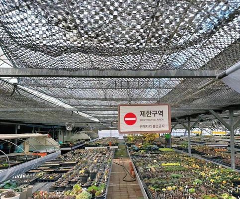 Aanpassing Boogtunnel kas Zonnelicht kas Voor de teelt van capsicum