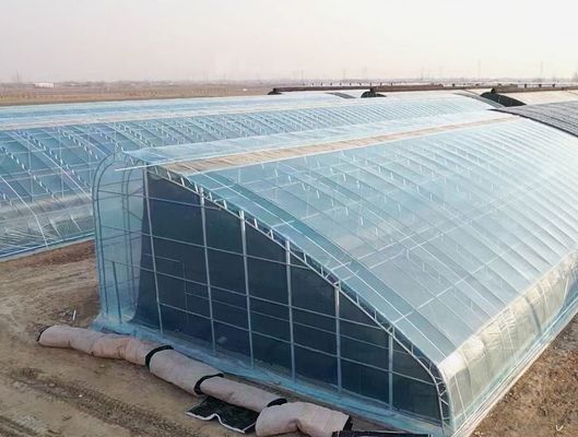 Aanpassing Boogtunnel kas Zonnelicht kas Voor de teelt van capsicum