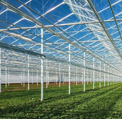 Aanpassing Boogtunnel kas Zonnelicht kas Voor de teelt van capsicum