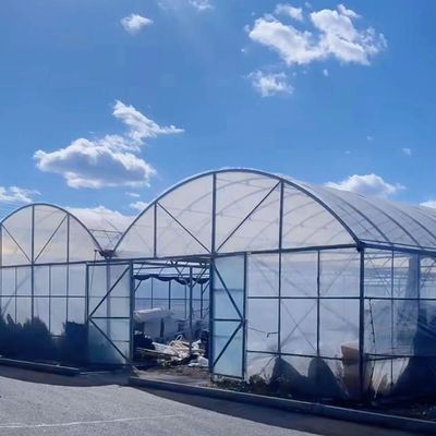 Multi-Span Commercial Greenhouse Kit met duurzaam PVC-pijp- en druppelbewateringssysteem