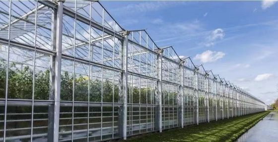 Oorsprong Doppelboogbalk kas voor capsicum Verzendkosten en productie kas