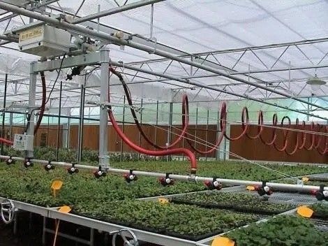 Oorsprong Doppelboogbalk kas voor capsicum Verzendkosten en productie kas