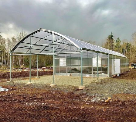 Eenvoudige of meervoudige span aanpassing sneeuw vibrator kas voor fruit tomaten te planten