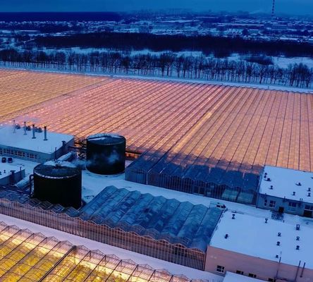 Eenvoudige of meervoudige span aanpassing sneeuw vibrator kas voor fruit tomaten te planten