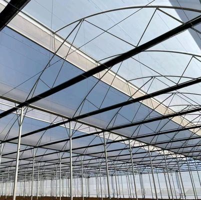 Eenvoudige of meervoudige span aanpassing sneeuw vibrator kas voor fruit tomaten te planten