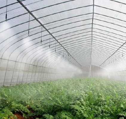 Op maat gemaakte sneeuw vibrator kas voor tomaten planten enkelvoudige of meervoudige span groot