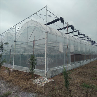 Op maat gemaakte en dubbelboogbalkkasten voor tomaten/komkommers met grote grootte