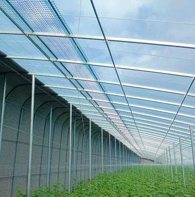 Op maat gemaakte en dubbelboogbalkkasten voor tomaten/komkommers met grote grootte