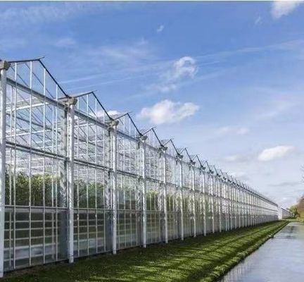 Op maat gemaakte en dubbelboogbalkkasten voor tomaten/komkommers met grote grootte