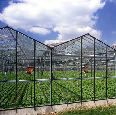 Op maat gemaakte moderne zonnestroom kas Dubbele laag voor paddenstoelplantvereisten
