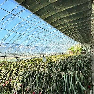 Op maat gemaakte moderne zonnestroom kas Dubbele laag voor paddenstoelplantvereisten