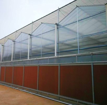 Op maat gemaakte moderne zonnestroom kas Dubbele laag voor paddenstoelplantvereisten