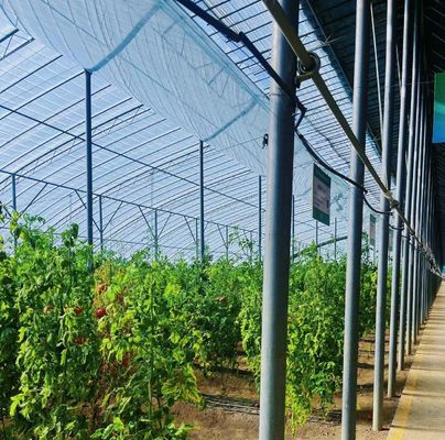 Op maat gemaakte moderne zonnestroom kas Dubbele laag voor paddenstoelplantvereisten