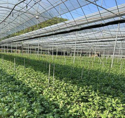 Revolutioneer de landbouw met PVC-pijpen, druppelbewatering, kassen en snelle verzending
