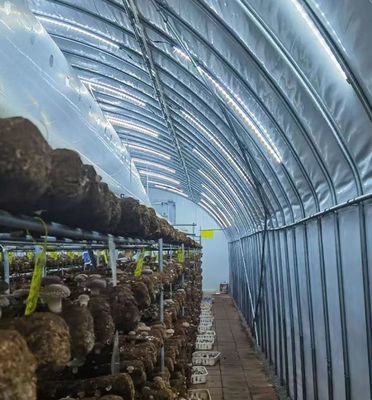 Moderne glaskas met automatisch irrigatiesysteem