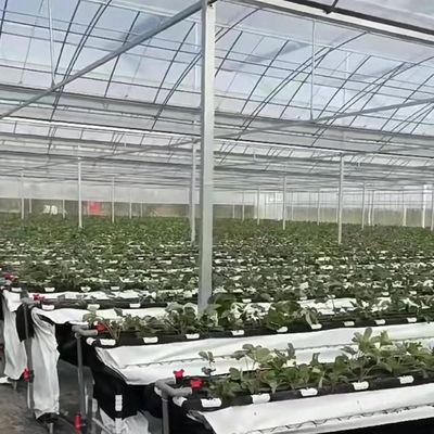 Duurzame bouwmaterialen Meervoudige filmkas met staalconstructie