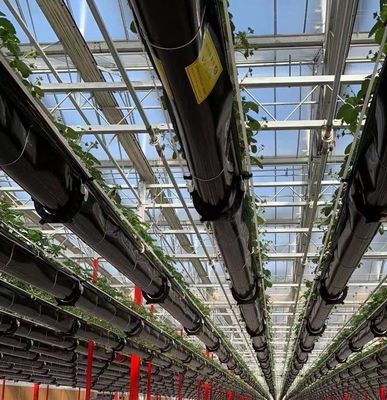 Dubbele laag landbouw intelligente zonnestroom kas met insectenbestendige net