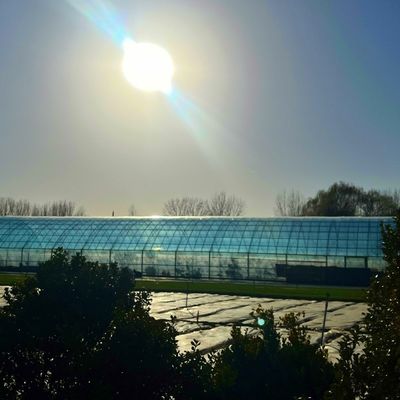 Dubbele laag landbouw intelligente zonnestroom kas met insectenbestendige net
