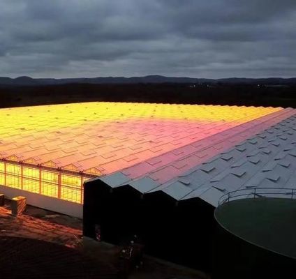 Dubbele laag landbouw intelligente zonnestroom kas met insectenbestendige net