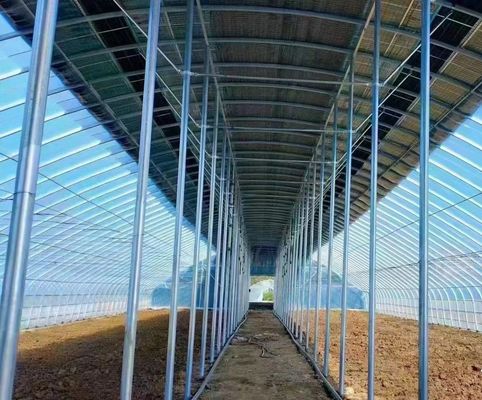 Dubbele laag landbouw intelligente zonnestroom kas met insectenbestendige net