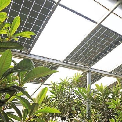 Multi-Span Arch Type PE/Po Plastic Film Photovoltaic Solar Greenhouse voor prestaties
