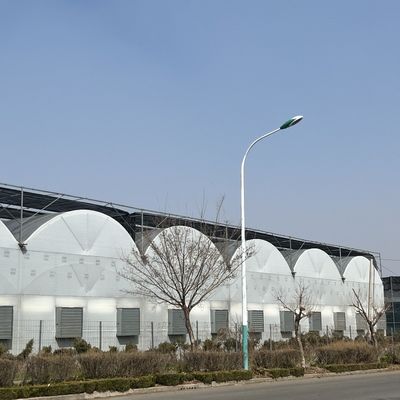 Eerste betaling JX-A0050 Waterpijp Landbouwkas voor groentenproductie
