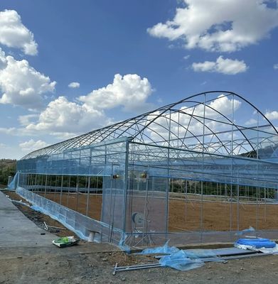 Eerste betaling JX-A0050 Waterpijp Landbouwkas voor groentenproductie