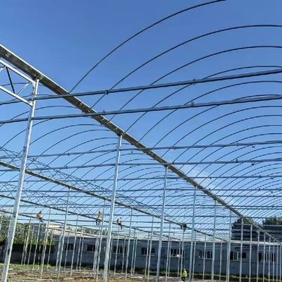 Op maat gemaakte multi-span film kas voor het planten van bloemen 30 dagen geld terug garantie