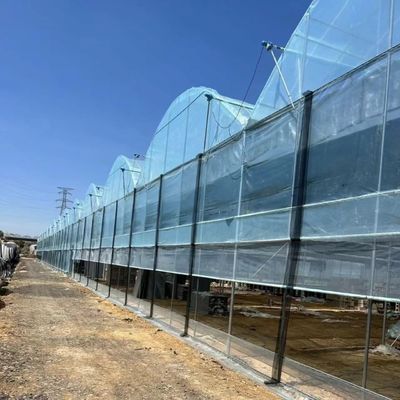 Op maat gemaakte multi-span film kas voor het planten van bloemen 30 dagen geld terug garantie