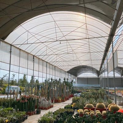 V.S. Volledige betaling Multi-Span kas met drupbewateringssysteem en eerste betaling