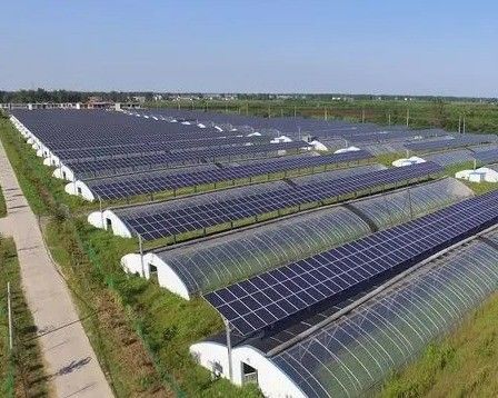 Hydroponie en bodemloze teelt Meerlaagserie jx-SG-6 met warmteopslag