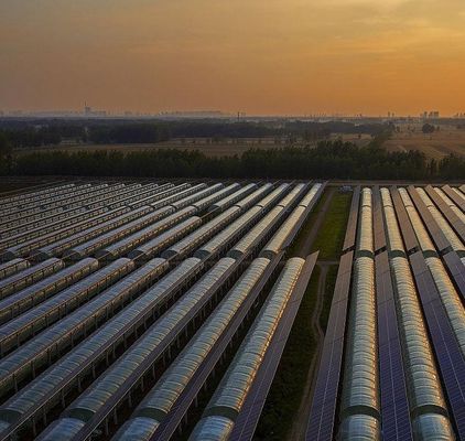 Hydroponie en bodemloze teelt Meerlaagserie jx-SG-6 met warmteopslag