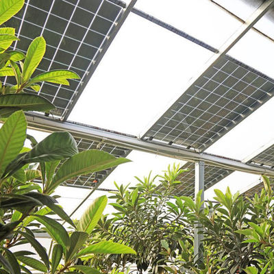 Hydroponie en bodemloze teelt Meerlaagserie jx-SG-6 met warmteopslag