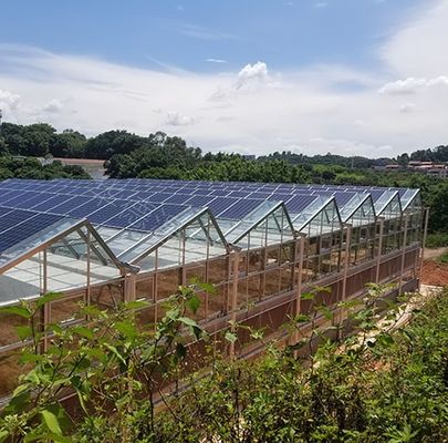 Hydroponie en bodemloze teelt Meerlaagserie jx-SG-6 met warmteopslag