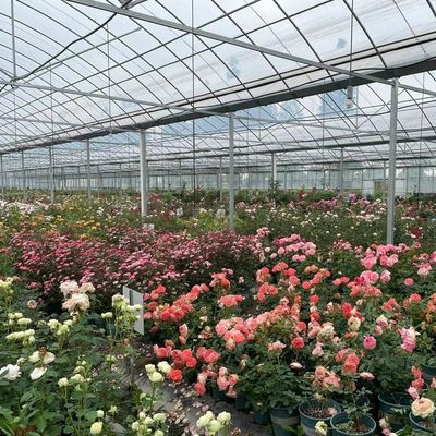 Flexible Multi-Span Greenhouse voor groentenproductie Pakket Bruto gewicht 20.000kg