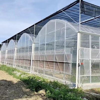 Flexible Multi-Span Greenhouse voor groentenproductie Pakket Bruto gewicht 20.000kg