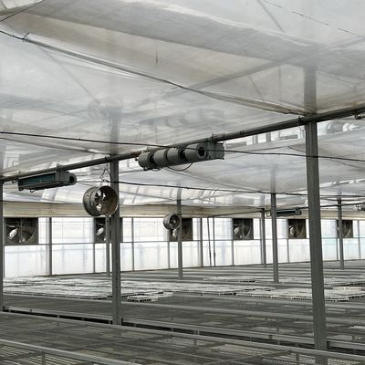 Flexible Multi-Span Greenhouse voor groentenproductie Pakket Bruto gewicht 20.000kg