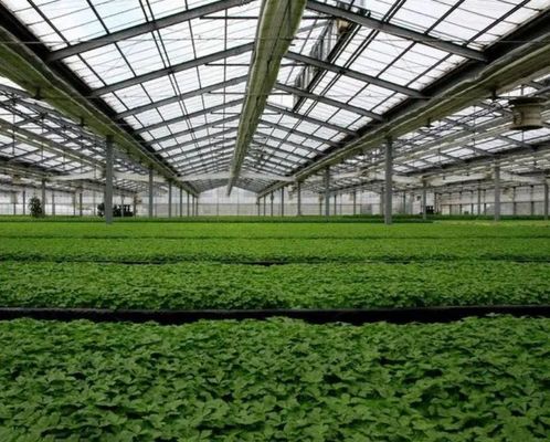 Bouwmaterialen Staalstructuur Meervoudig boogtype Photovoltaïsche kassen jx-SG-9