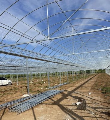 Op maat gemaakte multi-span broeikasoplossing voor hydroponische groentenproductie