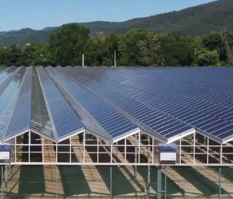 Bouwmaterialen Staalstructuur Meervoudig boogtype Photovoltaïsche kassen jx-SG-9
