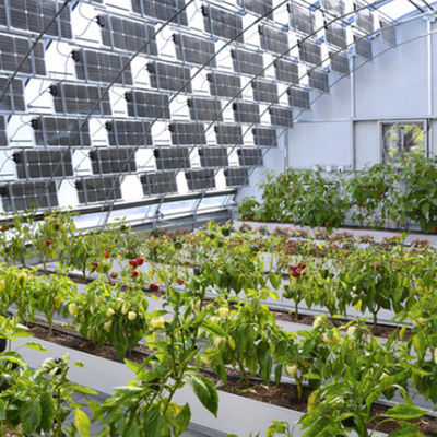 Behoud van broeikaswarmte met grote opslagcapaciteit en fotovoltaïsche panelen