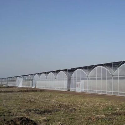 Multi-Span kas met geavanceerde irrigatie over verzendkosten en levertijd