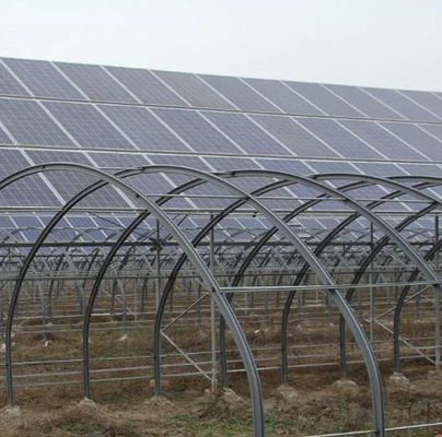 Groenhuis met hoge luchtvochtigheid met een enkele boog met een boog/Venloche-achtergrond en zonnepanelen