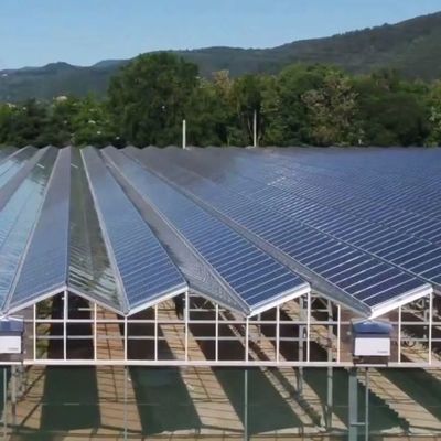 Groenhuis met hoge luchtvochtigheid met een enkele boog met een boog/Venloche-achtergrond en zonnepanelen