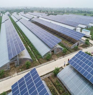 Groenhuis met hoge luchtvochtigheid met een enkele boog met een boog/Venloche-achtergrond en zonnepanelen